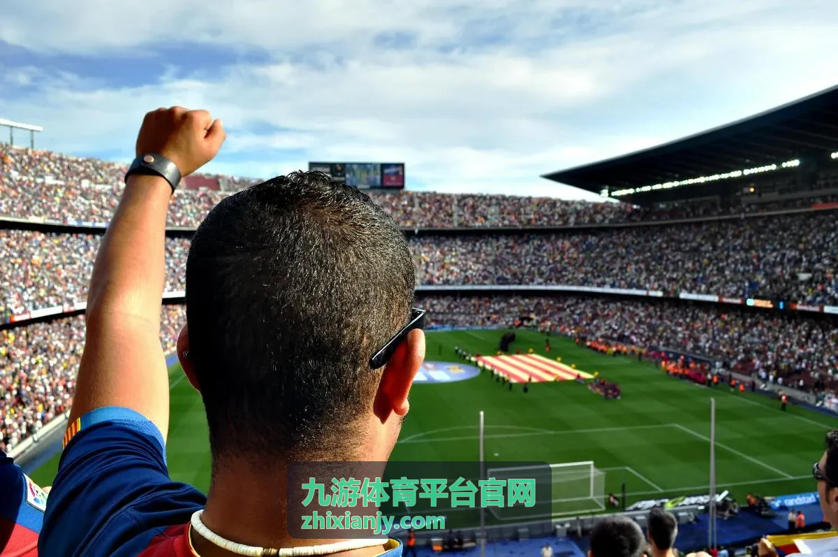 平台服务说明 九游体育平台官网 功能入口